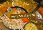 Chicken Lemon Orzo Soup