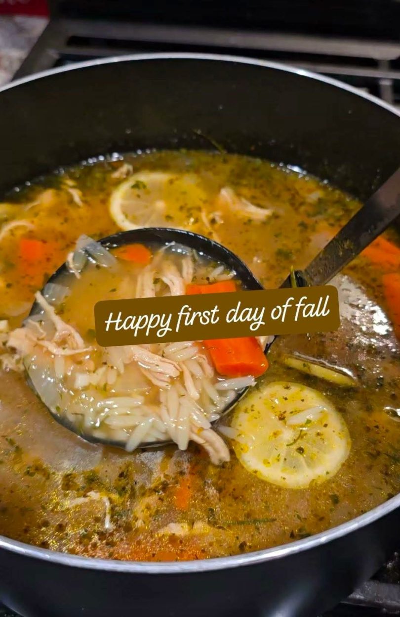 Chicken Lemon Orzo Soup
