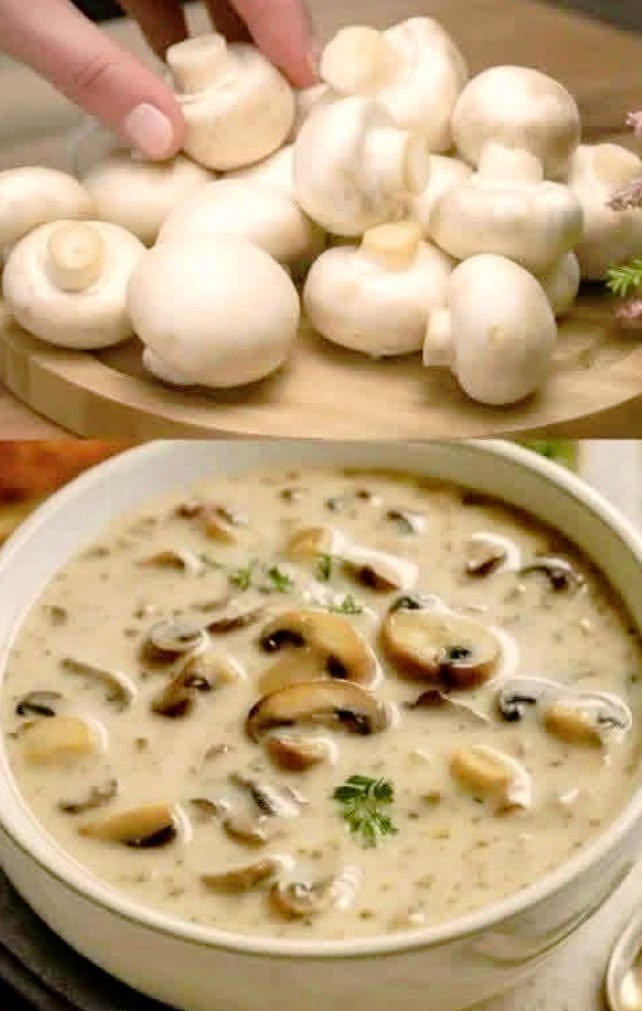 Creamy mushroom soup